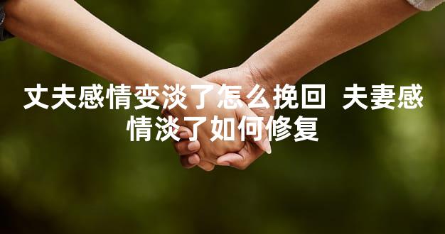 丈夫感情变淡了怎么挽回  夫妻感情淡了如何修复
